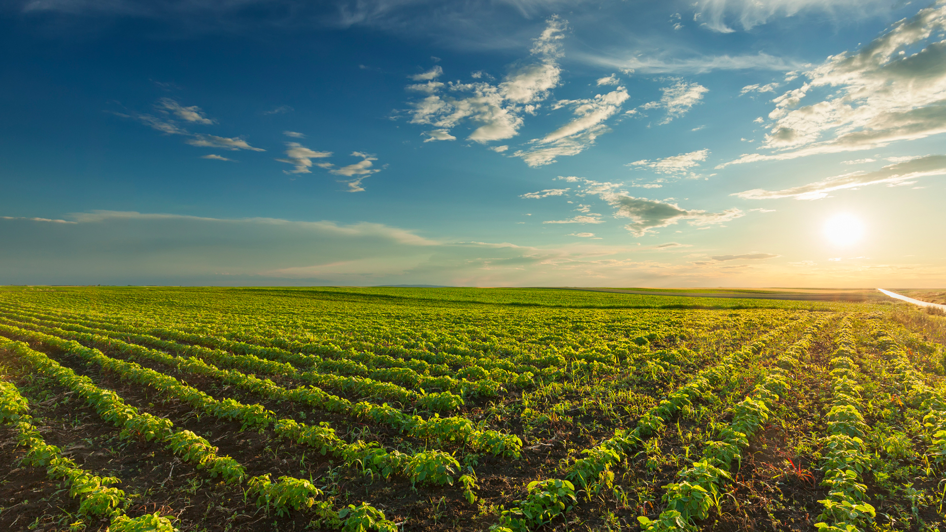 شرکت صنعت الکتریک